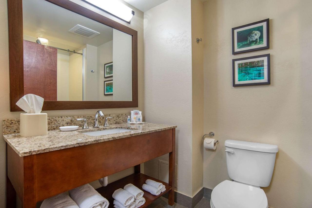 Comfort Suites Tallahassee Capitol - University Area Habitación foto